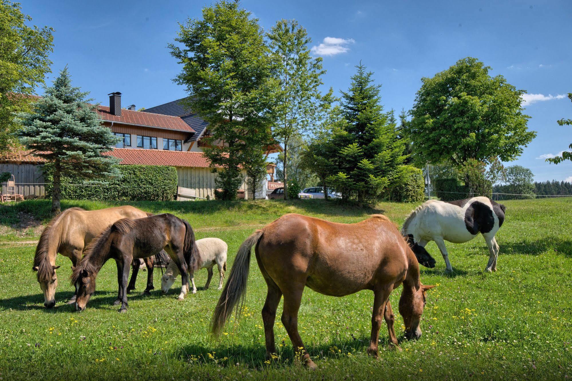 Landgasthof Zum Schwanen Hornberg Exterior photo